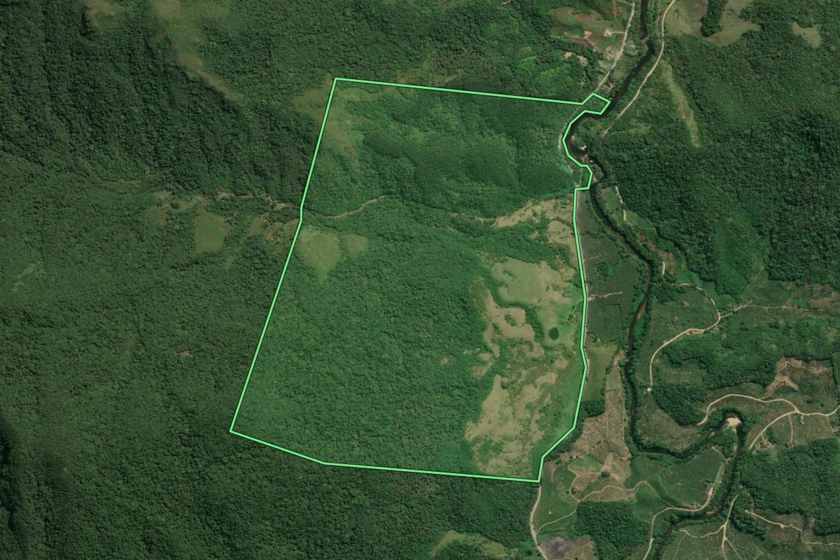 Imagem de satélite do imóvel rural em Jacupiranga (SP), com o contorno declarado no CAR desenhado por cima.