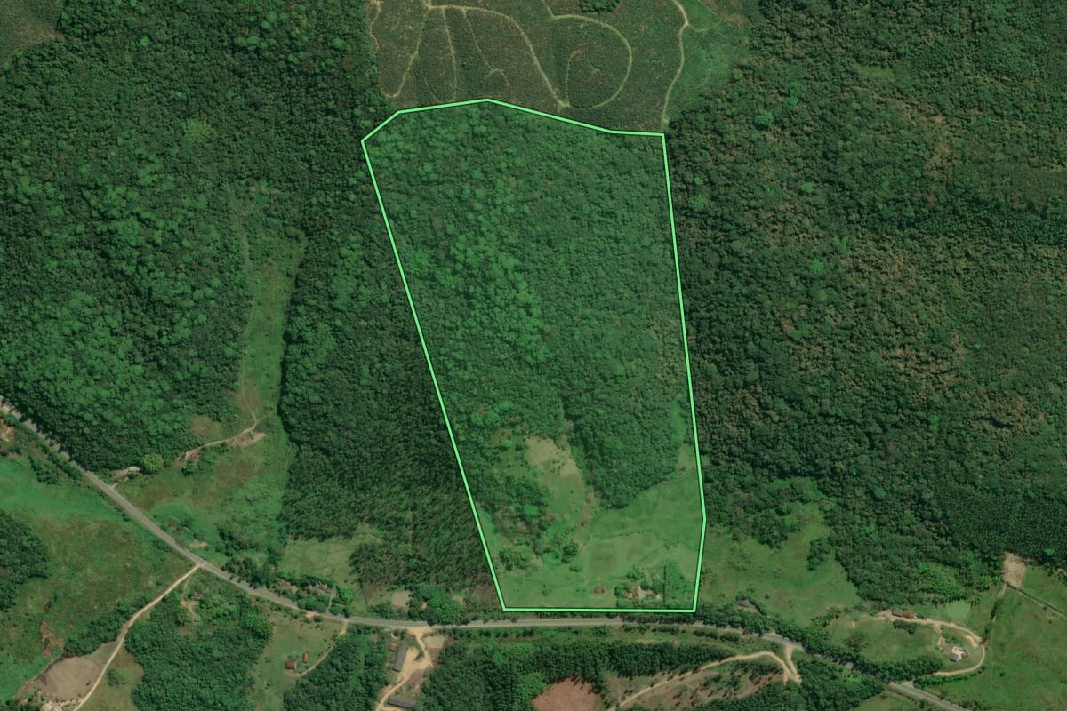Imagem de satélite do imóvel rural em Jacupiranga (SP), com o contorno declarado no CAR desenhado por cima.