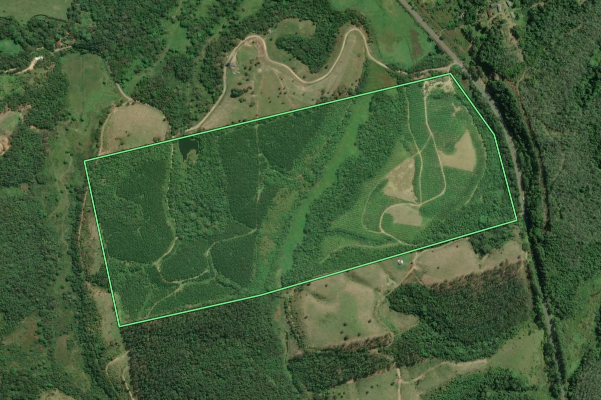 Imagem de satélite do imóvel rural em Jacupiranga (SP), com o contorno declarado no CAR desenhado por cima.