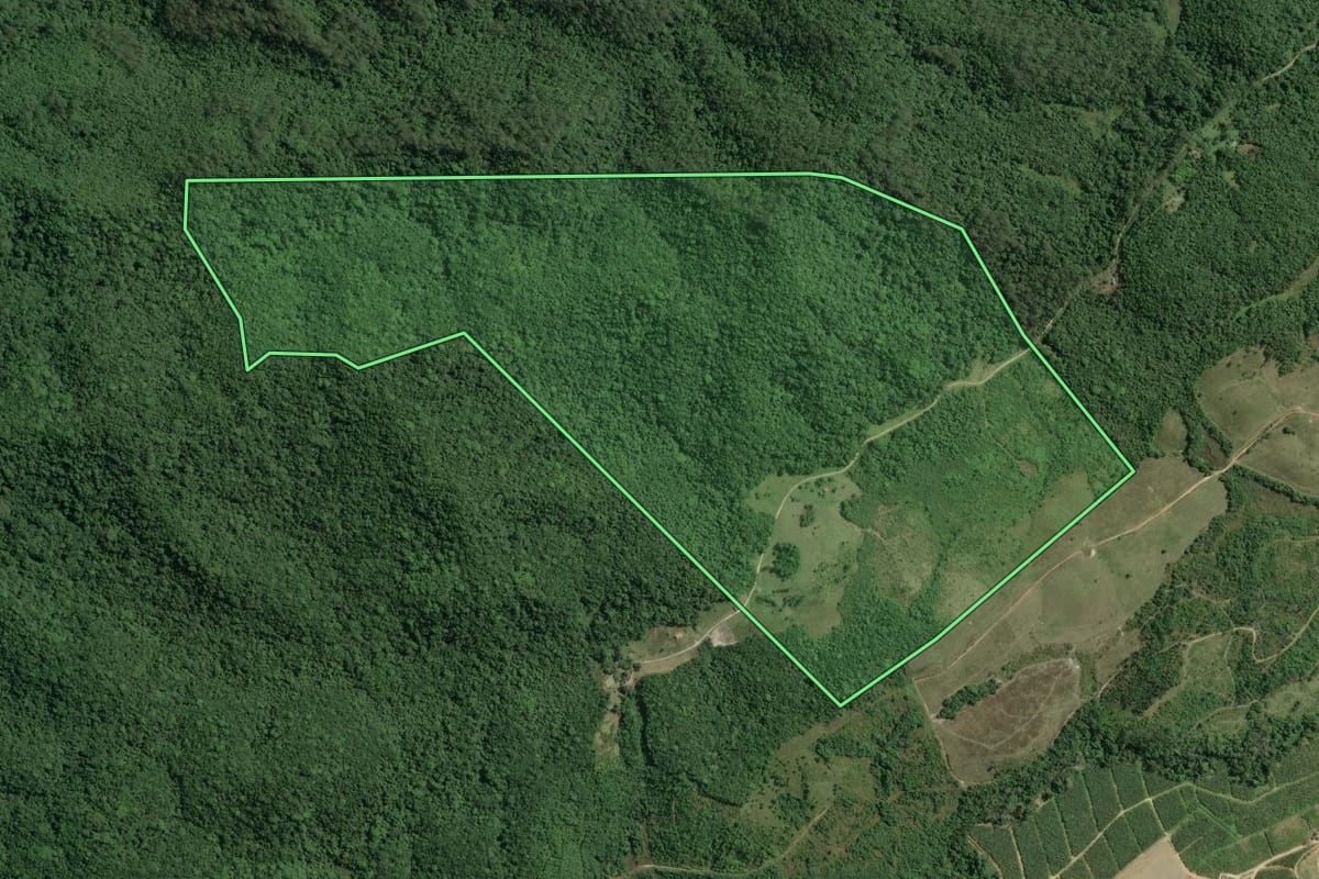 Imagem de satélite do imóvel rural em Jacupiranga (SP), com o contorno declarado no CAR desenhado por cima.