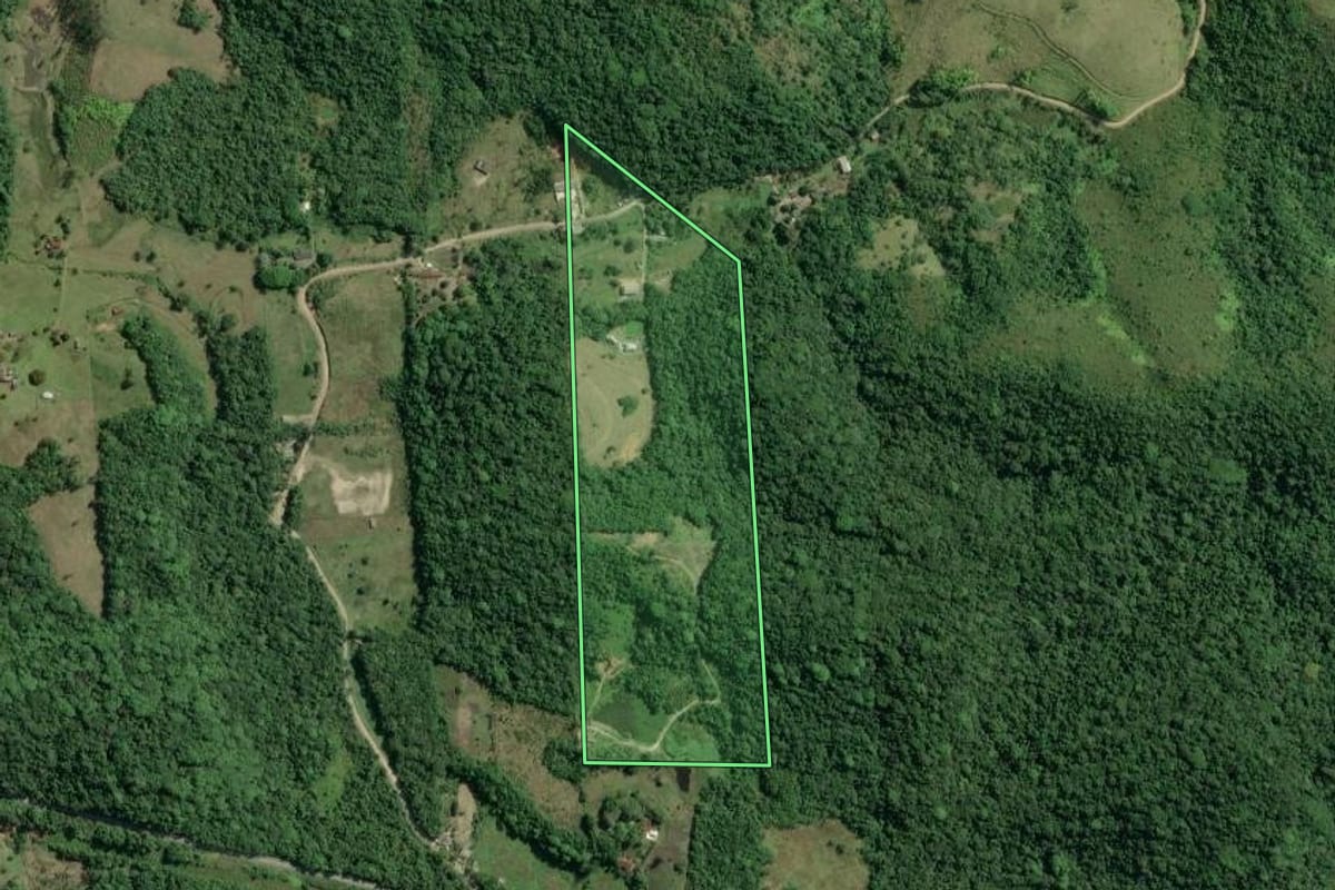 Imagem de satélite do imóvel rural em Jacupiranga (SP), com o contorno declarado no CAR desenhado por cima.