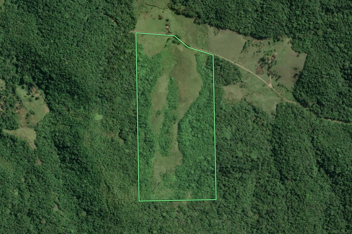 Imagem de satélite do imóvel rural em Jacupiranga (SP), com o contorno declarado no CAR desenhado por cima.