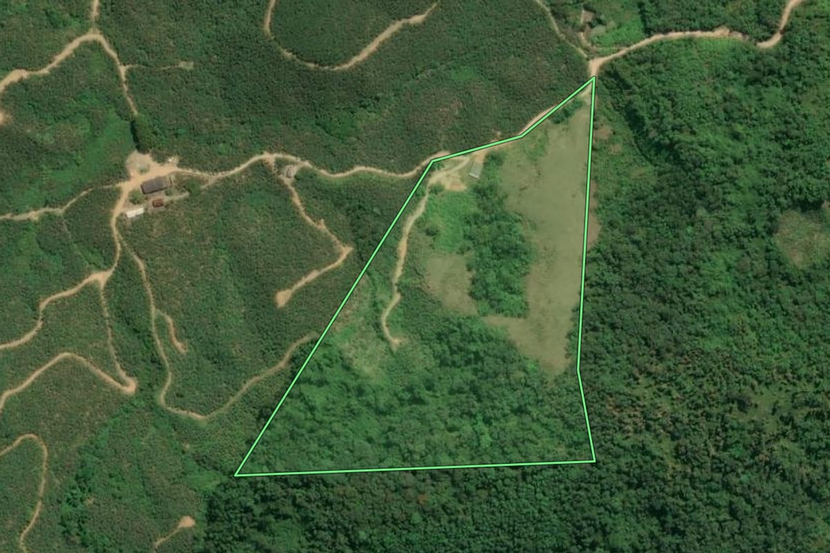 Imagem de satélite do imóvel rural em Jacupiranga (SP), com o contorno declarado no CAR desenhado por cima.