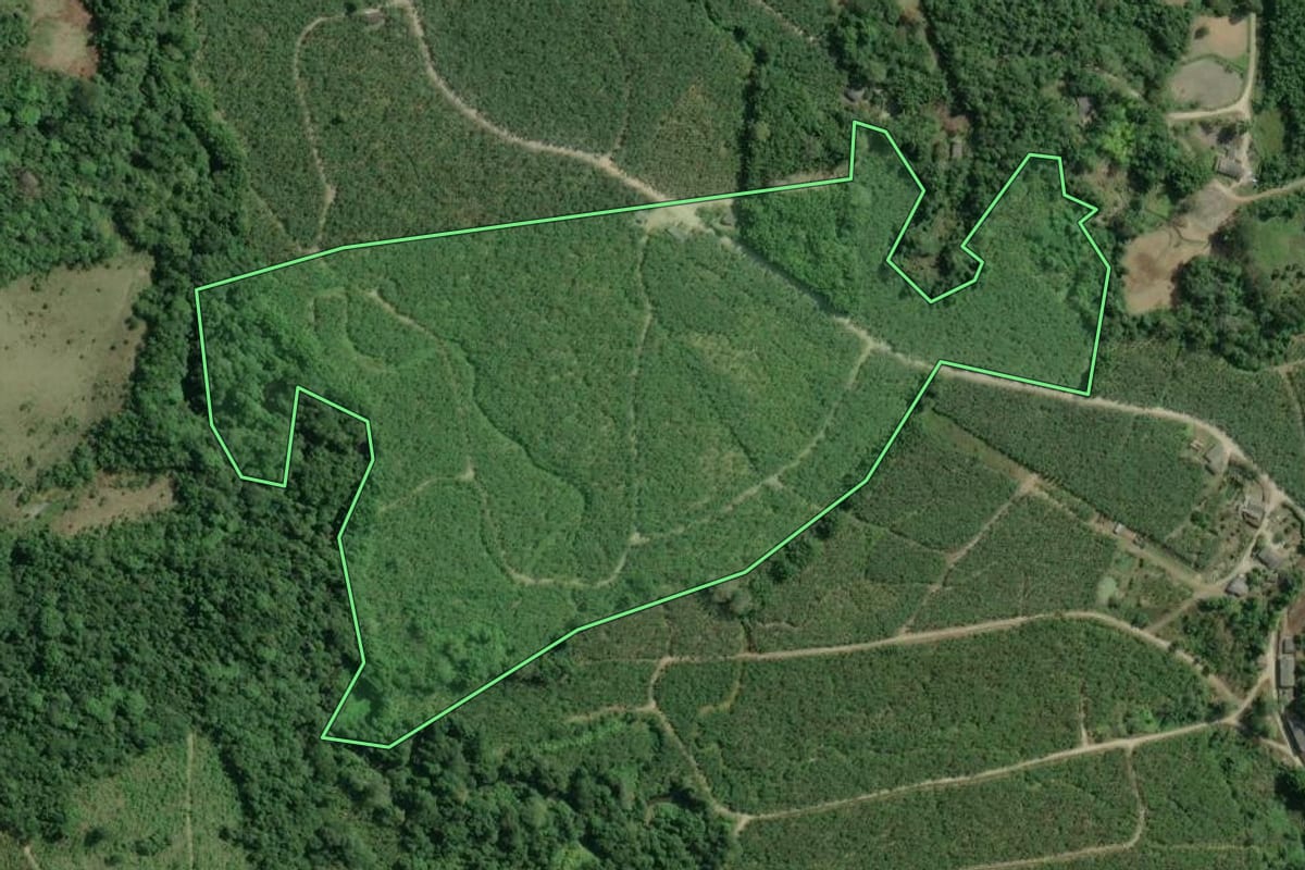 Imagem de satélite do imóvel rural em Jacupiranga (SP), com o contorno declarado no CAR desenhado por cima.