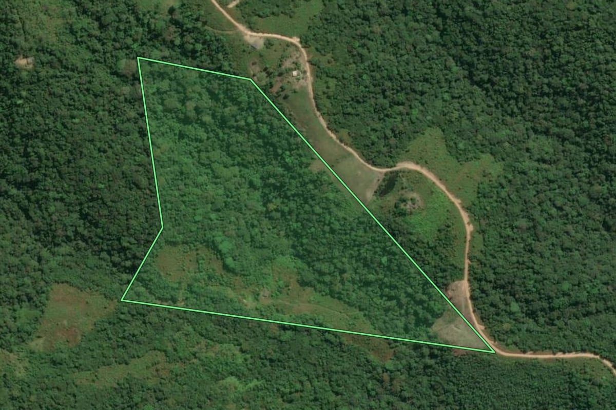 Imagem de satélite do imóvel rural em Jacupiranga (SP), com o contorno declarado no CAR desenhado por cima.