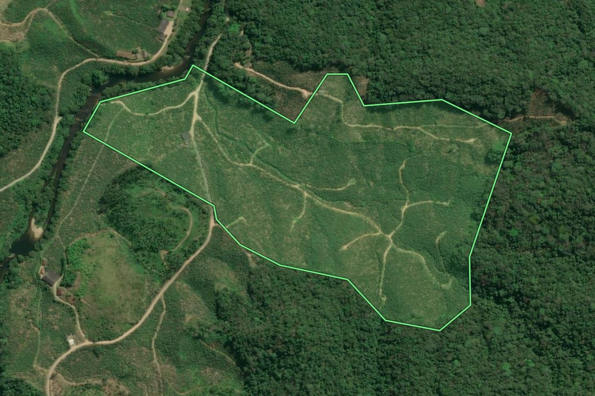 Imagem de satélite do imóvel rural em Jacupiranga (SP), com o contorno declarado no CAR desenhado por cima.