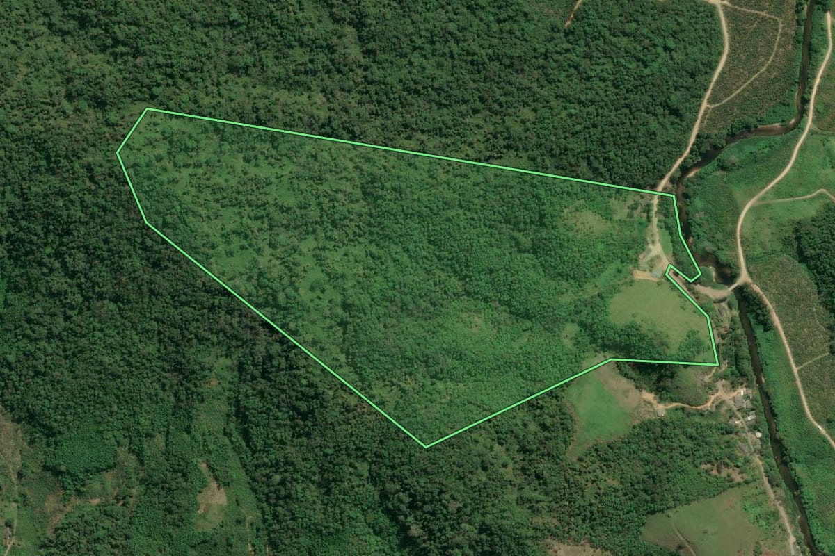 Imagem de satélite do imóvel rural em Jacupiranga (SP), com o contorno declarado no CAR desenhado por cima.