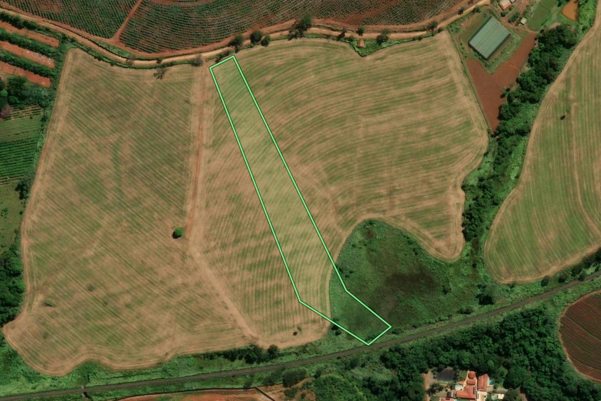 Imagem de satélite do imóvel rural em Jaguariúna (SP), com o contorno declarado no CAR desenhado por cima.