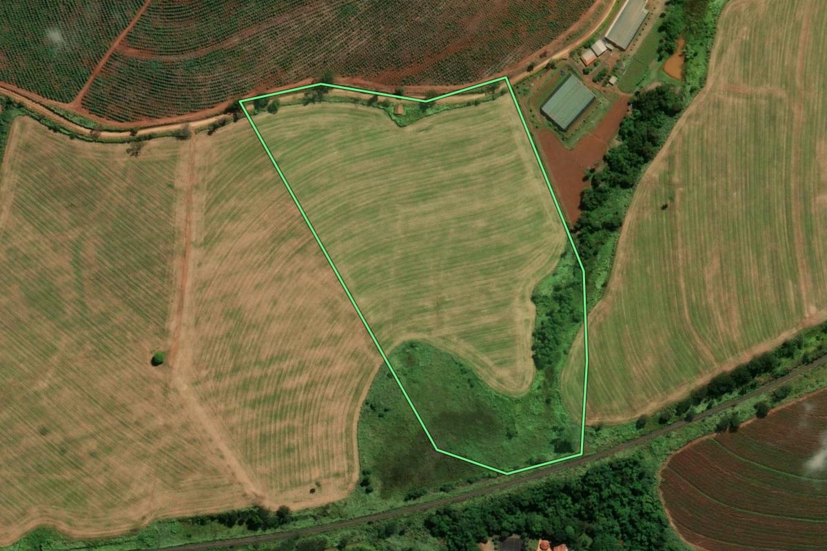 Imagem de satélite do imóvel rural em Jaguariúna (SP), com o contorno declarado no CAR desenhado por cima.