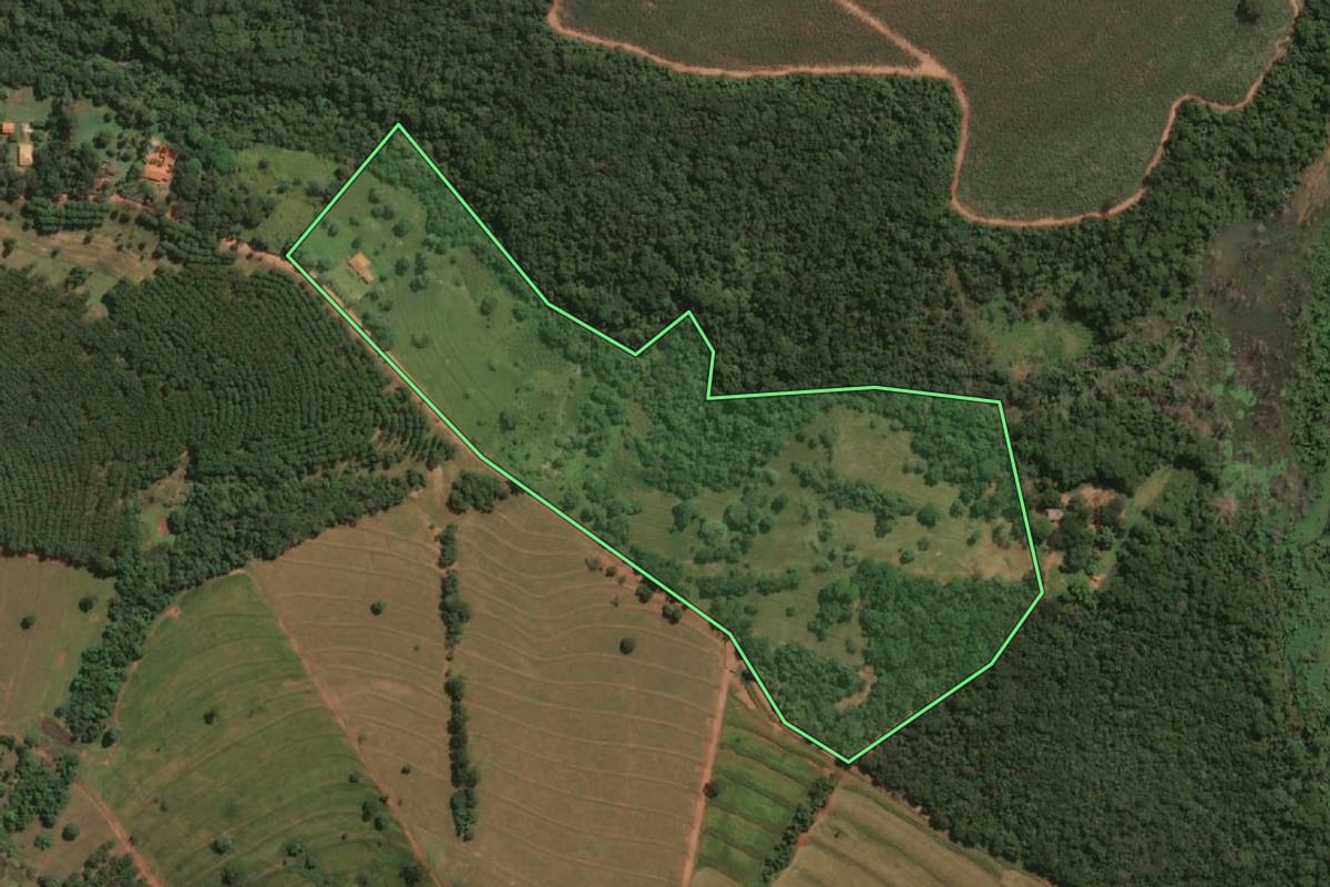Imagem de satélite do imóvel rural em Jales (SP), com o contorno declarado no CAR desenhado por cima.