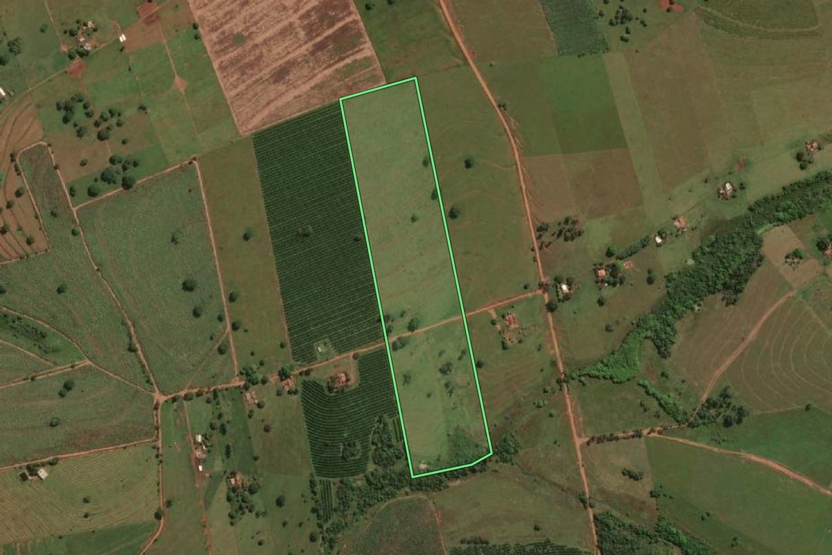 Imagem de satélite do imóvel rural em Jales (SP), com o contorno declarado no CAR desenhado por cima.