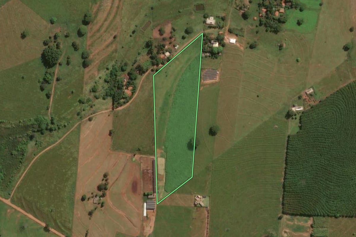 Imagem de satélite do imóvel rural em Jales (SP), com o contorno declarado no CAR desenhado por cima.