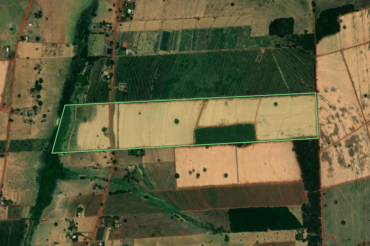 Imagem de satélite do imóvel rural em Jales (SP), com o contorno declarado no CAR desenhado por cima.