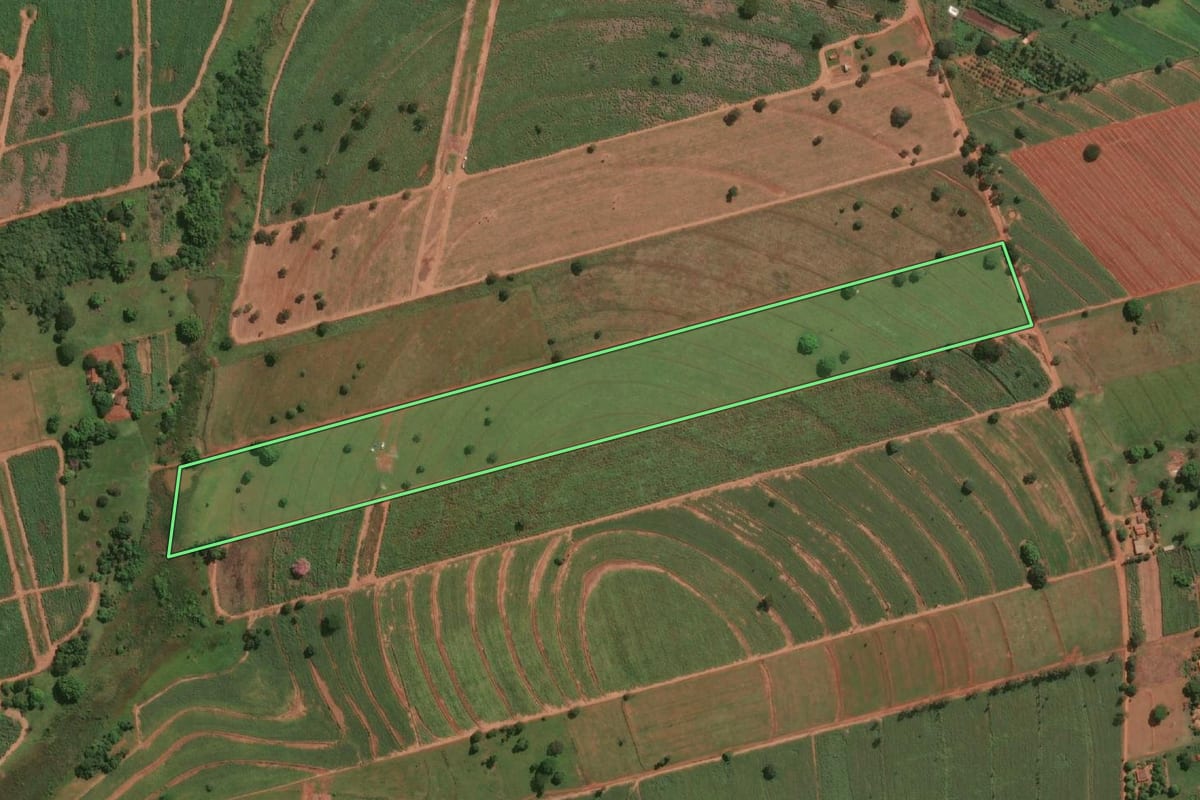 Imagem de satélite do imóvel rural em Jales (SP), com o contorno declarado no CAR desenhado por cima.