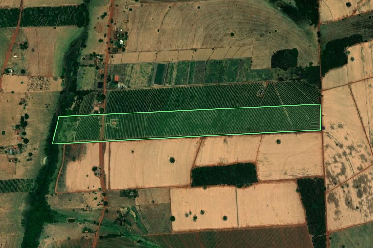 Imagem de satélite do imóvel rural em Jales (SP), com o contorno declarado no CAR desenhado por cima.