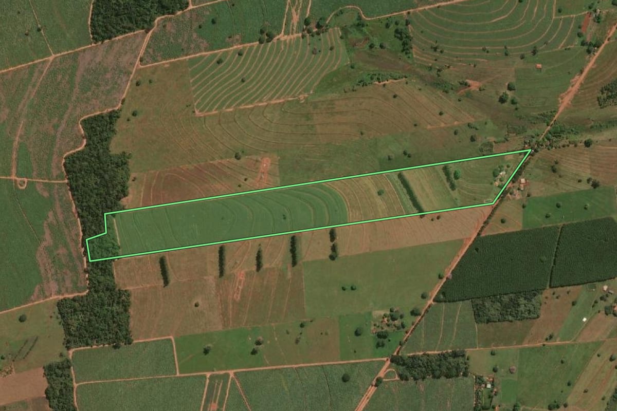 Imagem de satélite do imóvel rural em Jales (SP), com o contorno declarado no CAR desenhado por cima.