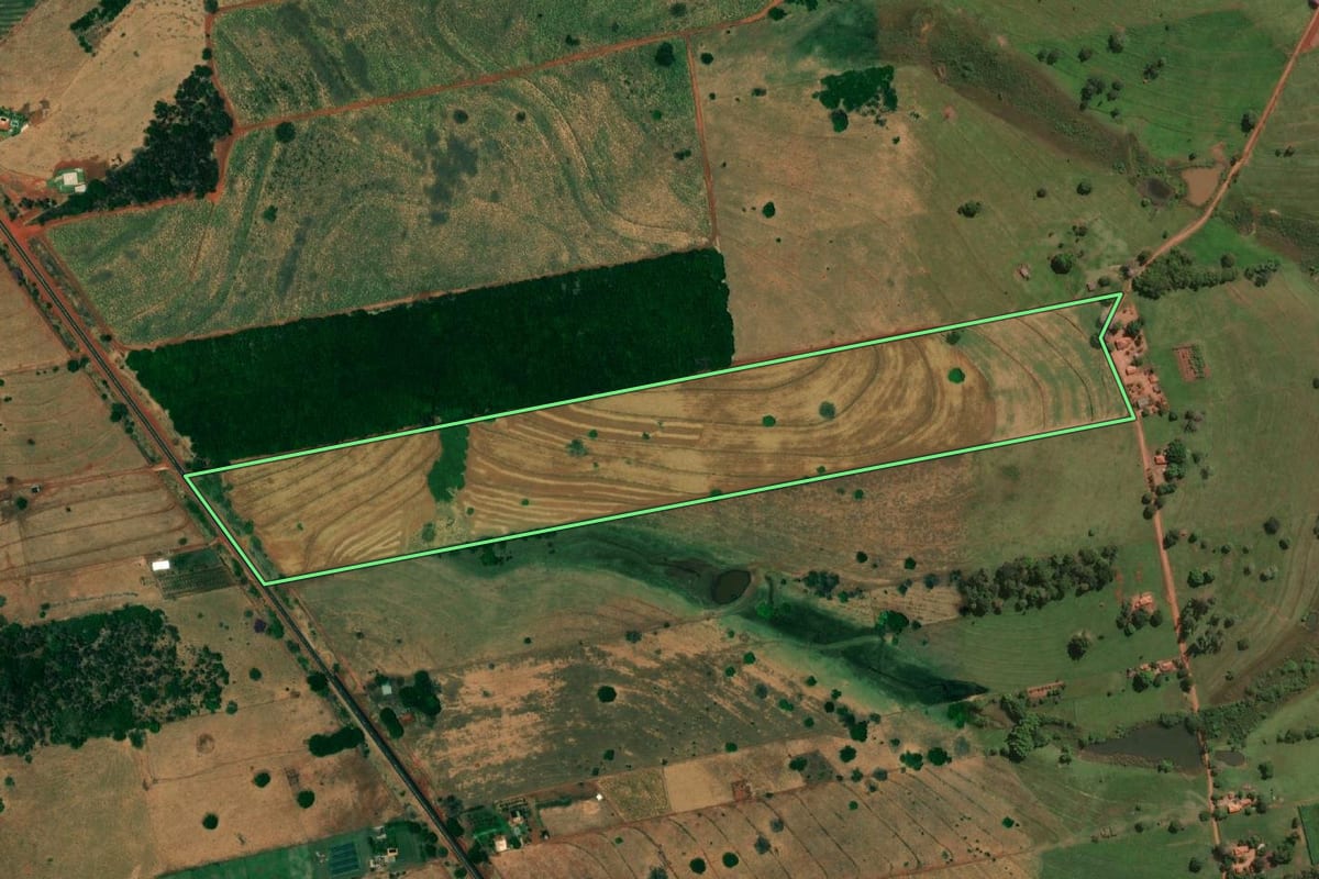 Imagem de satélite do imóvel rural em Jales (SP), com o contorno declarado no CAR desenhado por cima.