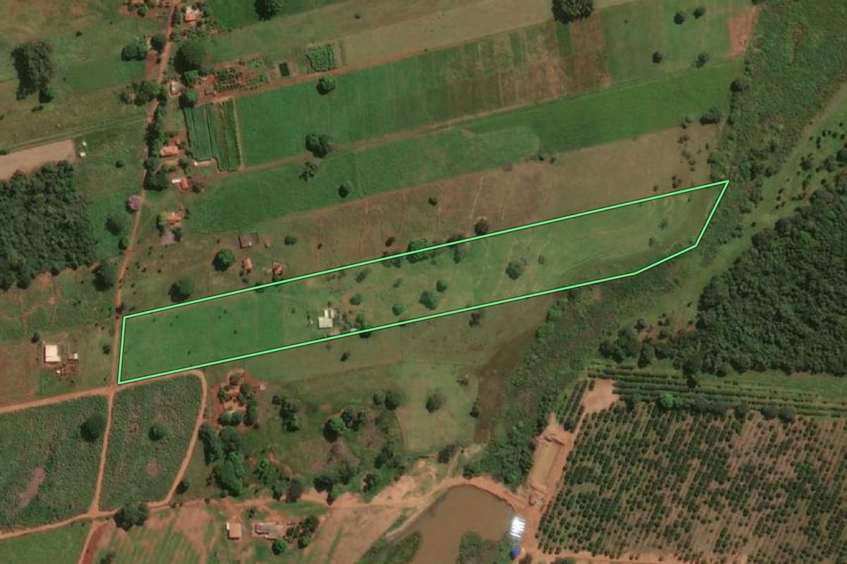 Imagem de satélite do imóvel rural em Jales (SP), com o contorno declarado no CAR desenhado por cima.
