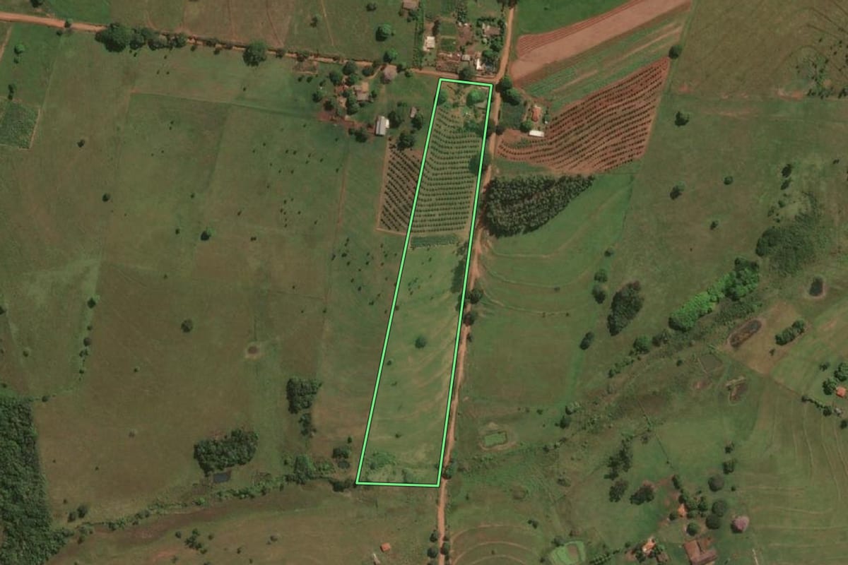 Imagem de satélite do imóvel rural em Jales (SP), com o contorno declarado no CAR desenhado por cima.