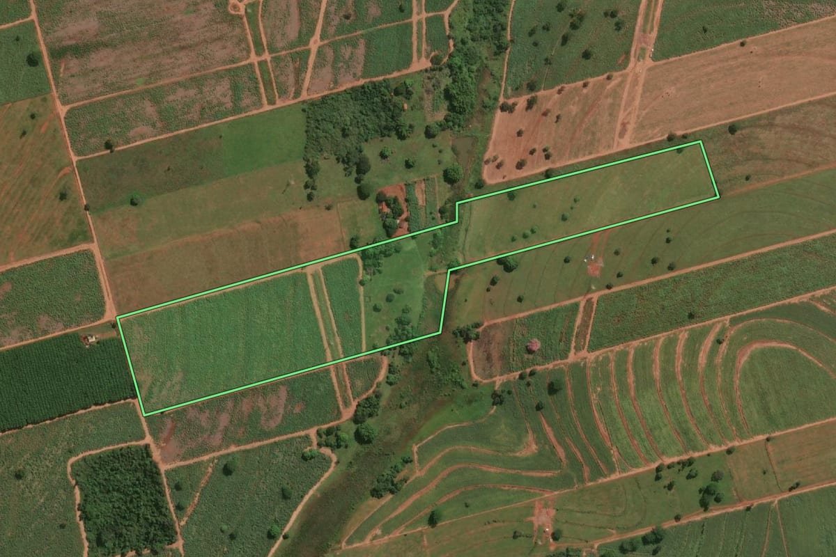 Imagem de satélite do imóvel rural em Jales (SP), com o contorno declarado no CAR desenhado por cima.