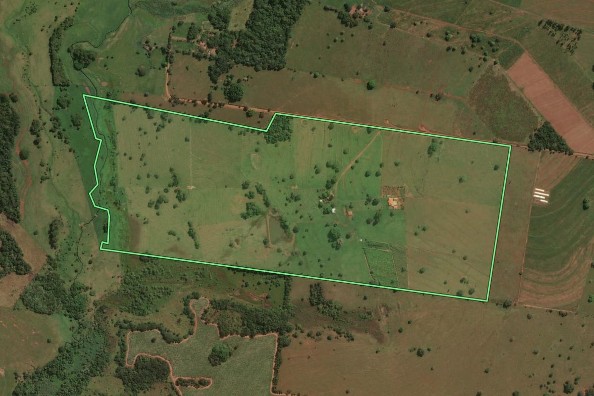 Imagem de satélite do imóvel rural em Jales (SP), com o contorno declarado no CAR desenhado por cima.
