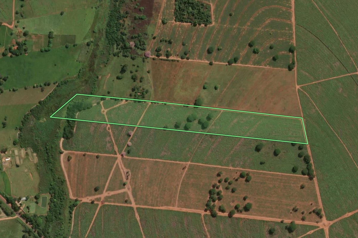 Imagem de satélite do imóvel rural em Jales (SP), com o contorno declarado no CAR desenhado por cima.