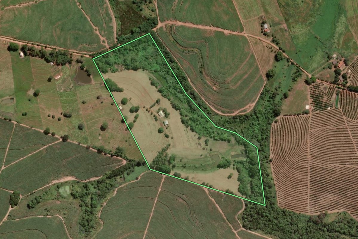 Imagem de satélite do imóvel rural em Jales (SP), com o contorno declarado no CAR desenhado por cima.