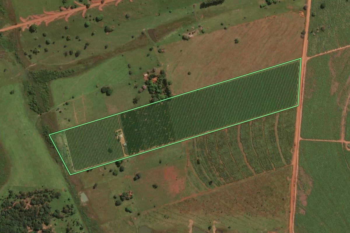 Imagem de satélite do imóvel rural em Jales (SP), com o contorno declarado no CAR desenhado por cima.
