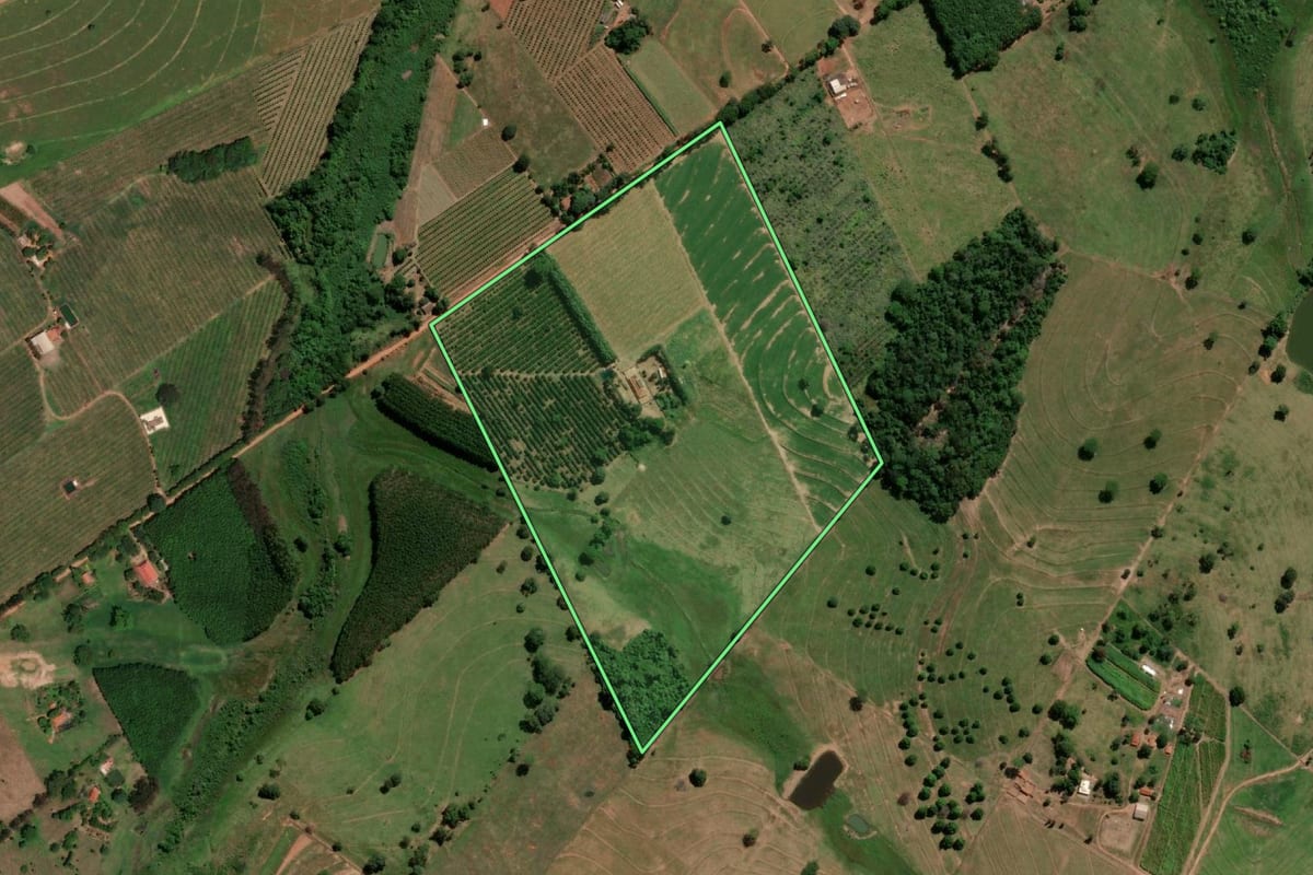 Imagem de satélite do imóvel rural em Jales (SP), com o contorno declarado no CAR desenhado por cima.