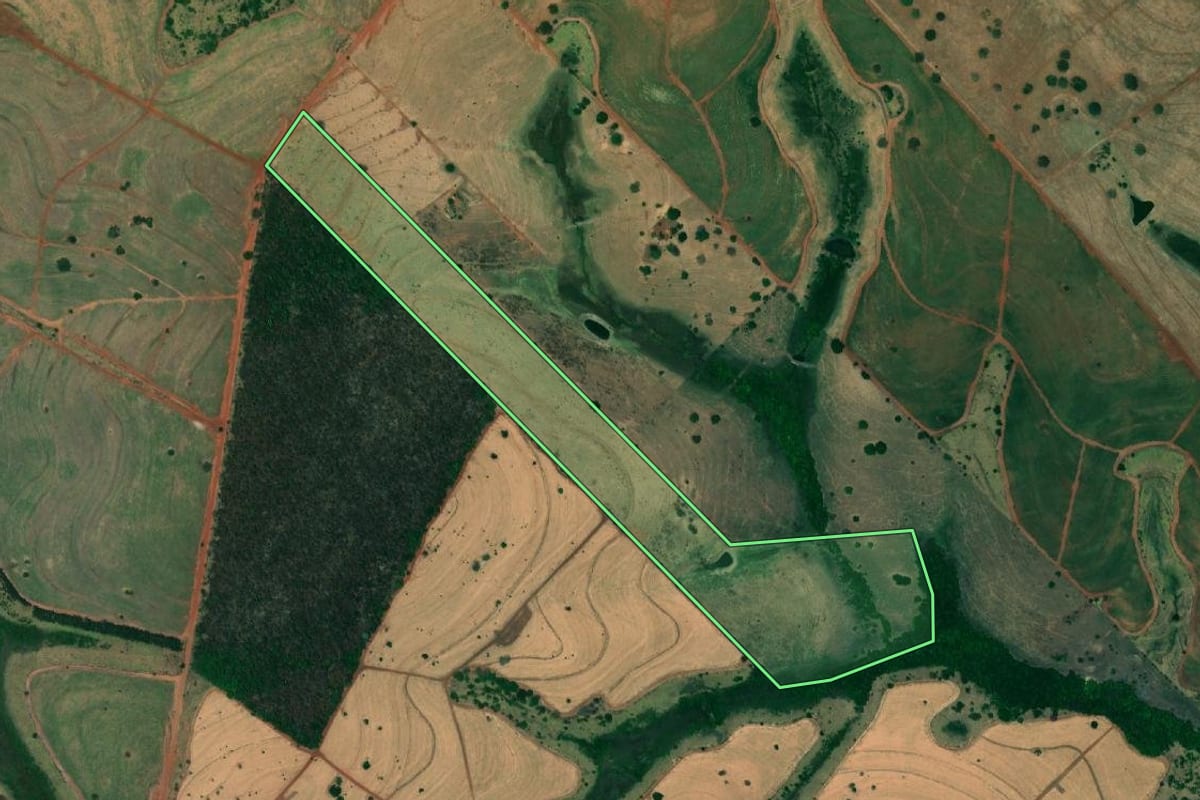 Imagem de satélite do imóvel rural em Jales (SP), com o contorno declarado no CAR desenhado por cima.