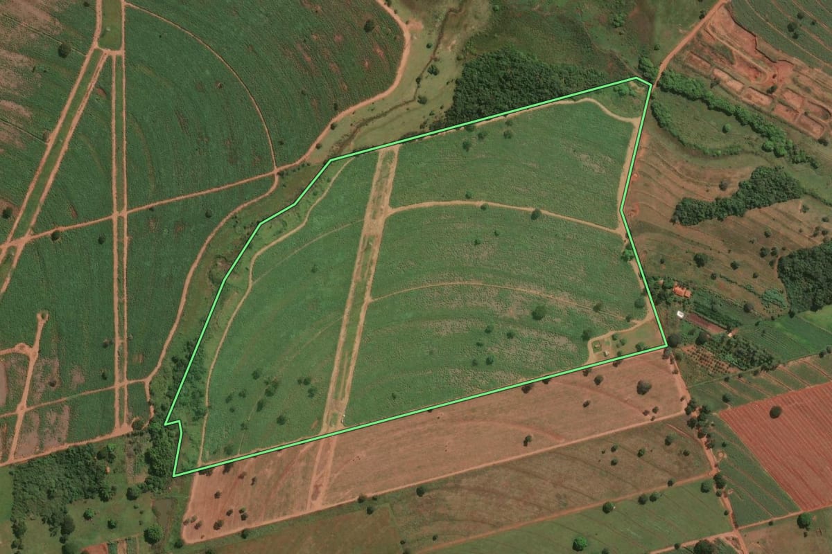 Imagem de satélite do imóvel rural em Jales (SP), com o contorno declarado no CAR desenhado por cima.