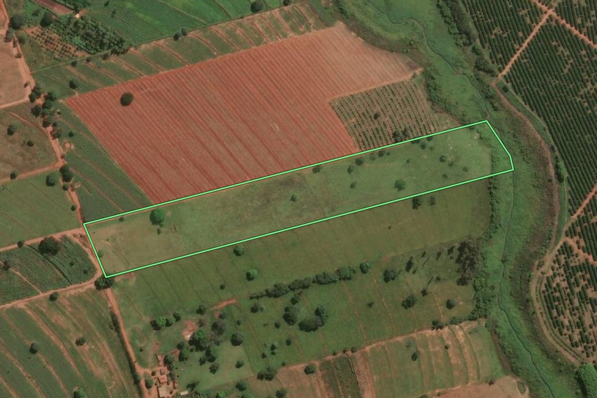 Imagem de satélite do imóvel rural em Jales (SP), com o contorno declarado no CAR desenhado por cima.