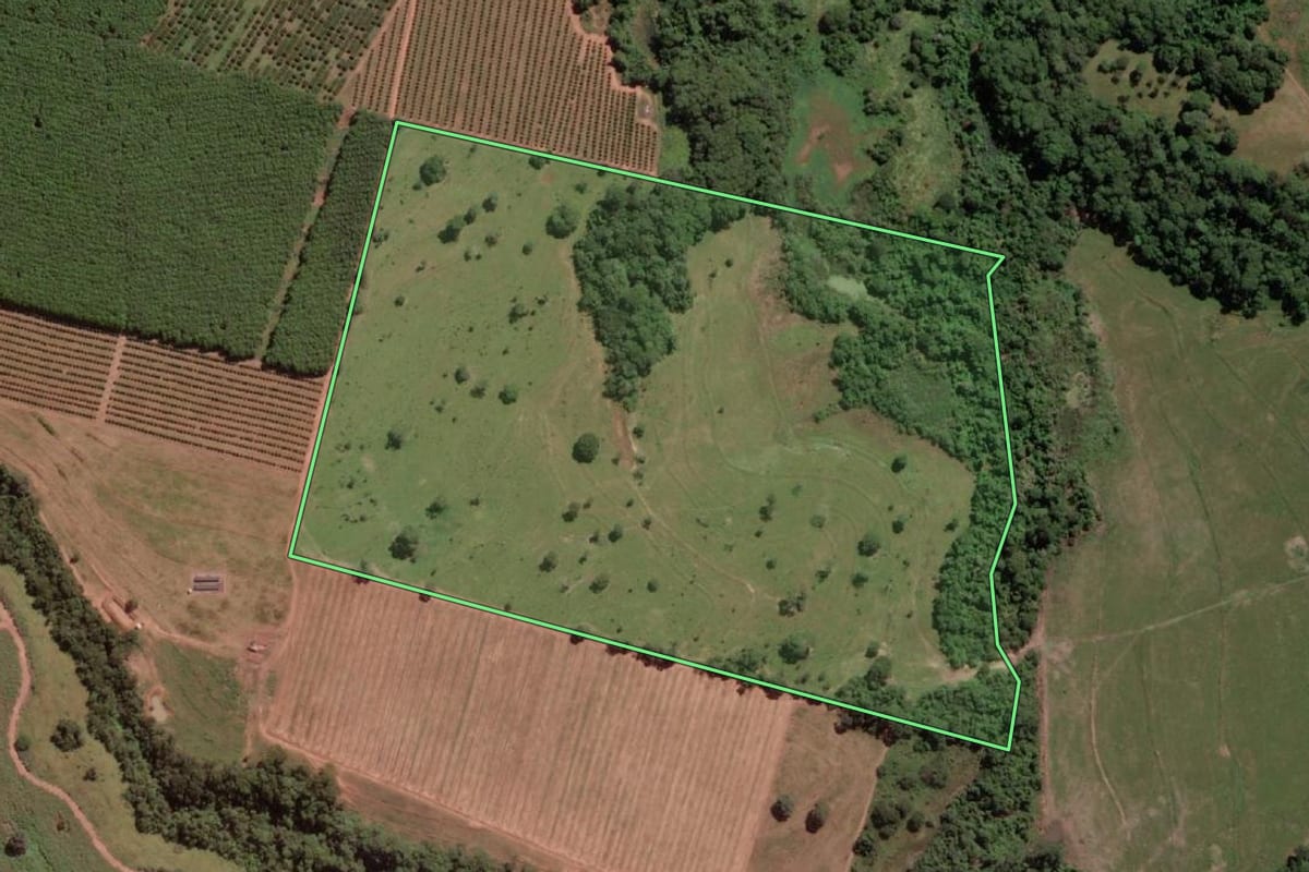 Imagem de satélite do imóvel rural em Jales (SP), com o contorno declarado no CAR desenhado por cima.