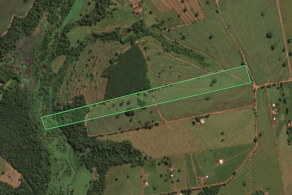 Imagem de satélite do imóvel rural em Jales (SP), com o contorno declarado no CAR desenhado por cima.