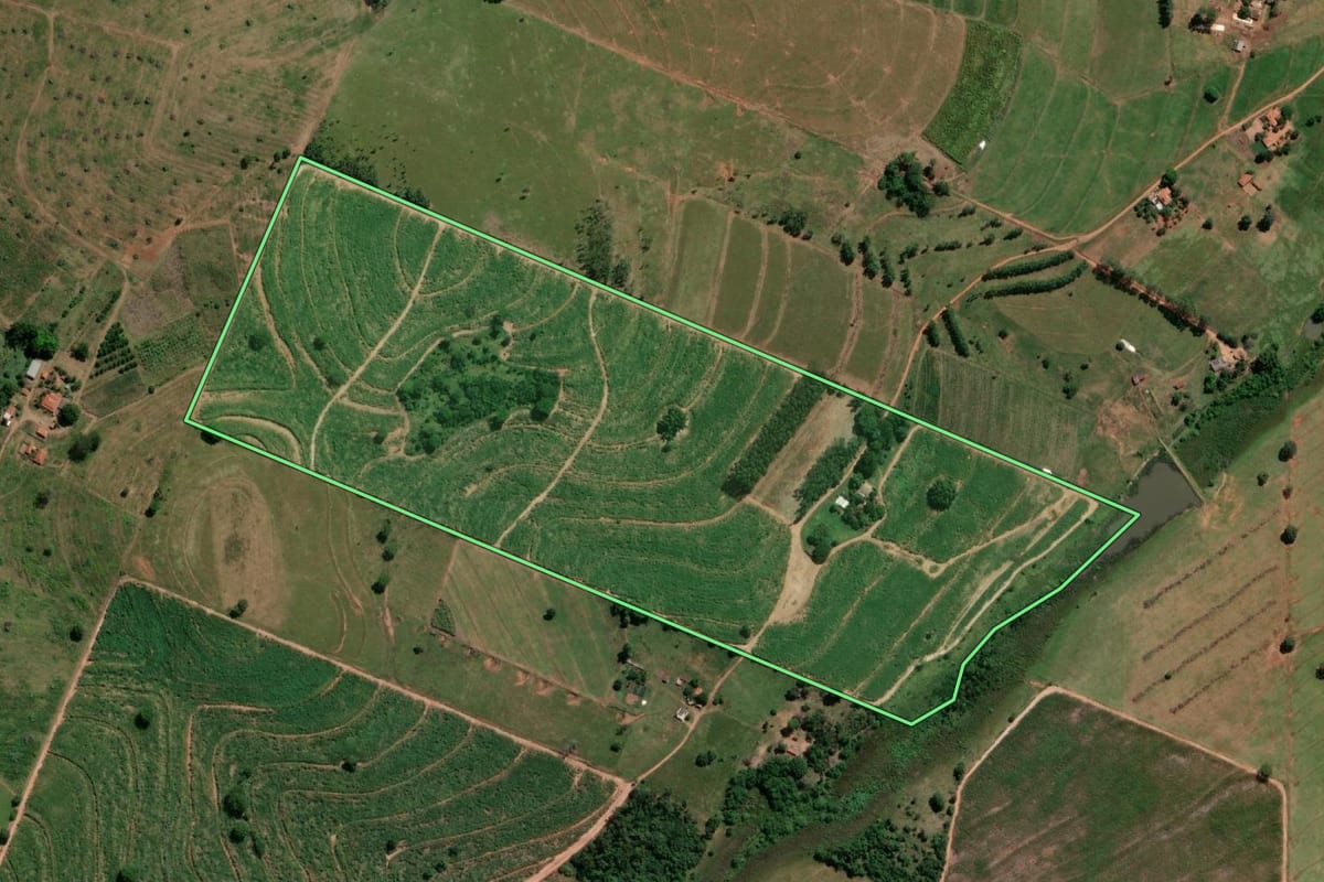 Imagem de satélite do imóvel rural em Jales (SP), com o contorno declarado no CAR desenhado por cima.