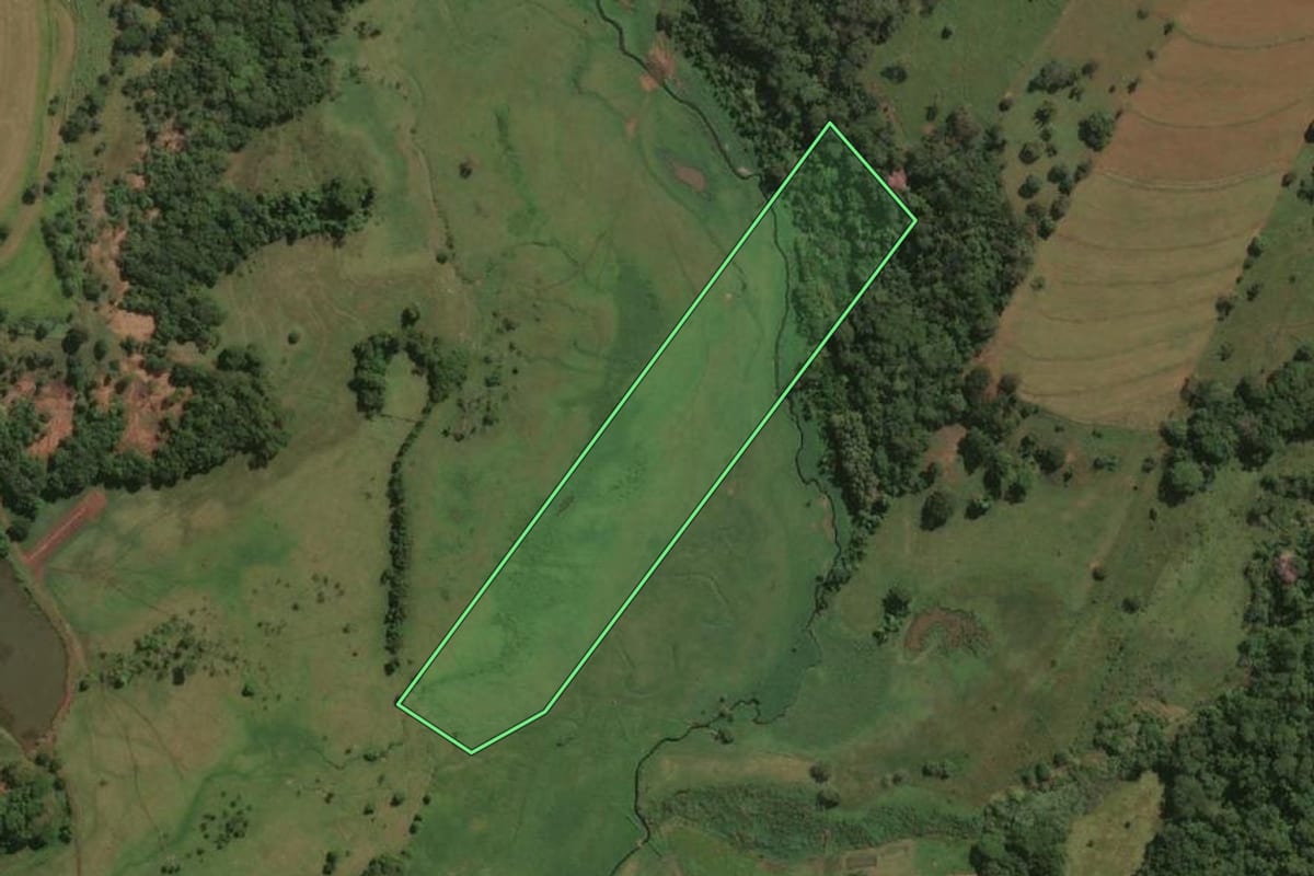 Imagem de satélite do imóvel rural em Jales (SP), com o contorno declarado no CAR desenhado por cima.