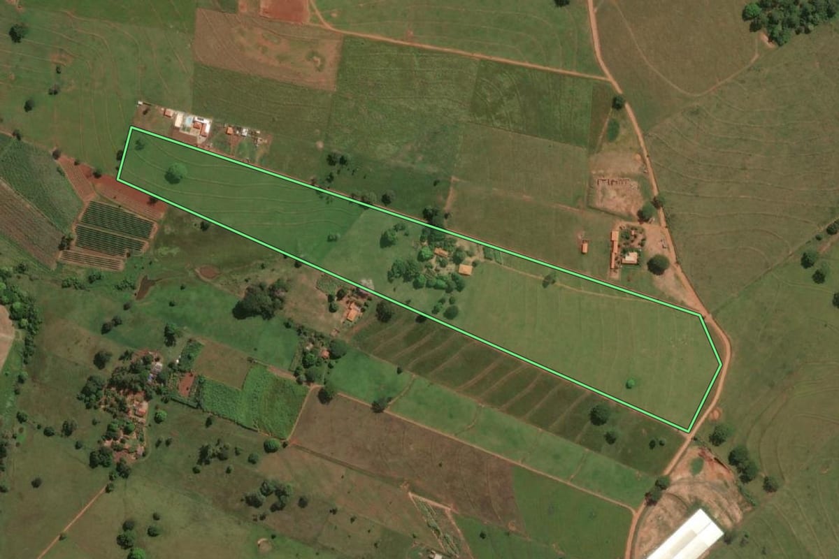 Imagem de satélite do imóvel rural em Jales (SP), com o contorno declarado no CAR desenhado por cima.