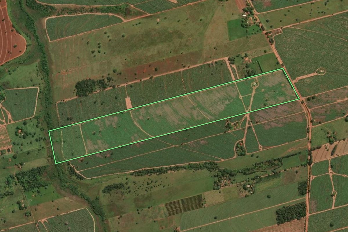 Imagem de satélite do imóvel rural em Jales (SP), com o contorno declarado no CAR desenhado por cima.