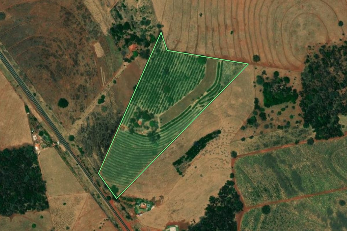 Imagem de satélite do imóvel rural em Jales (SP), com o contorno declarado no CAR desenhado por cima.