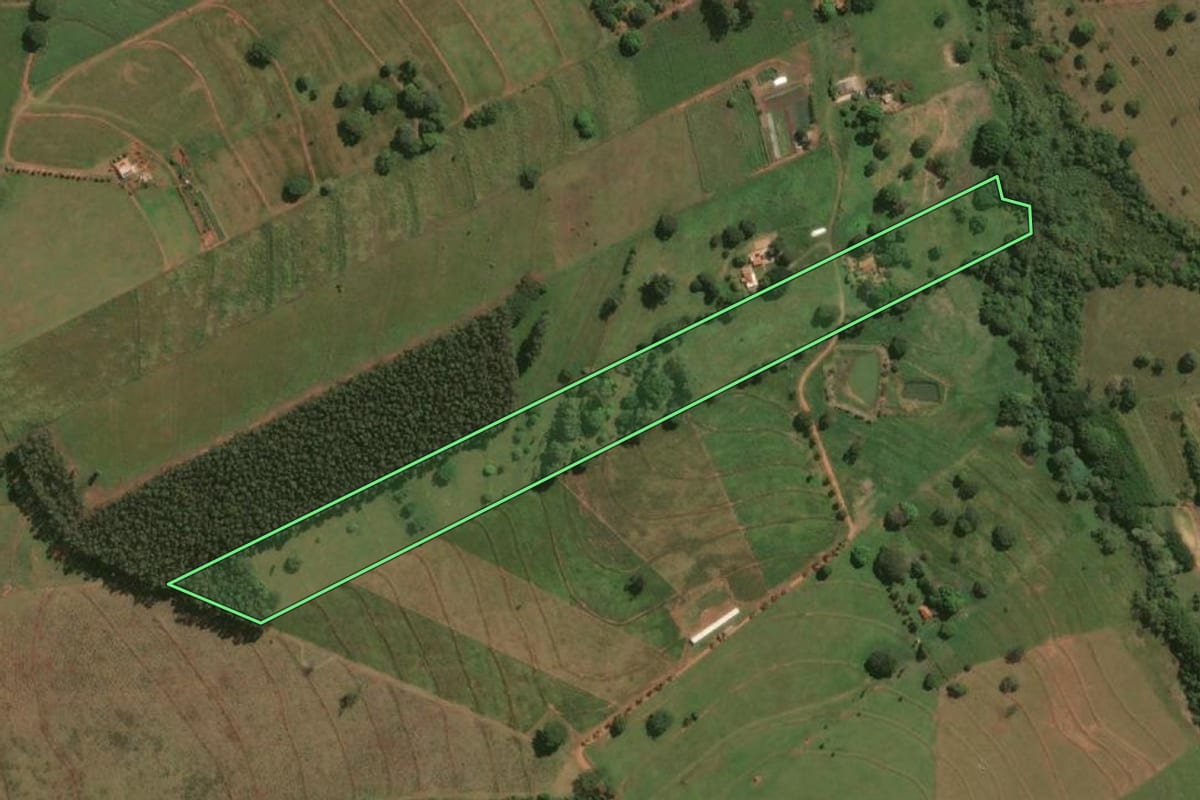 Imagem de satélite do imóvel rural em Jales (SP), com o contorno declarado no CAR desenhado por cima.