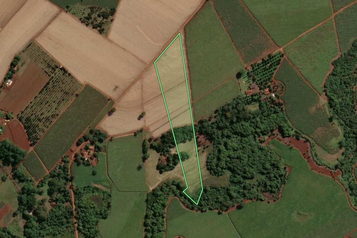 Imagem de satélite do imóvel rural em Jardinópolis (SP), com o contorno declarado no CAR desenhado por cima.