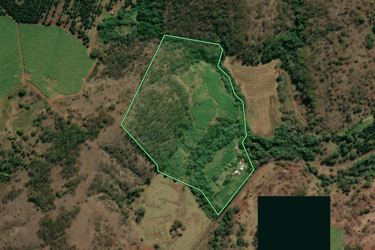 Imagem de satélite do imóvel rural em Jardinópolis (SP), com o contorno declarado no CAR desenhado por cima.