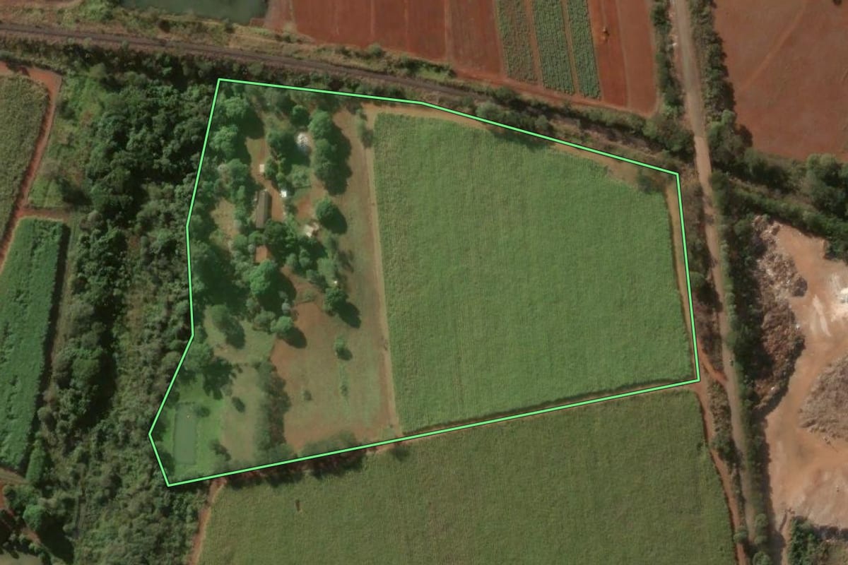 Imagem de satélite do imóvel rural em Jardinópolis (SP), com o contorno declarado no CAR desenhado por cima.