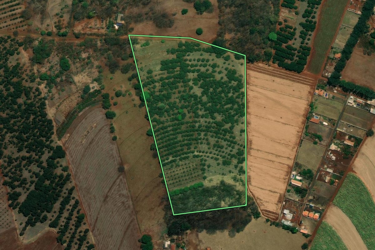 Imagem de satélite do imóvel rural em Jardinópolis (SP), com o contorno declarado no CAR desenhado por cima.