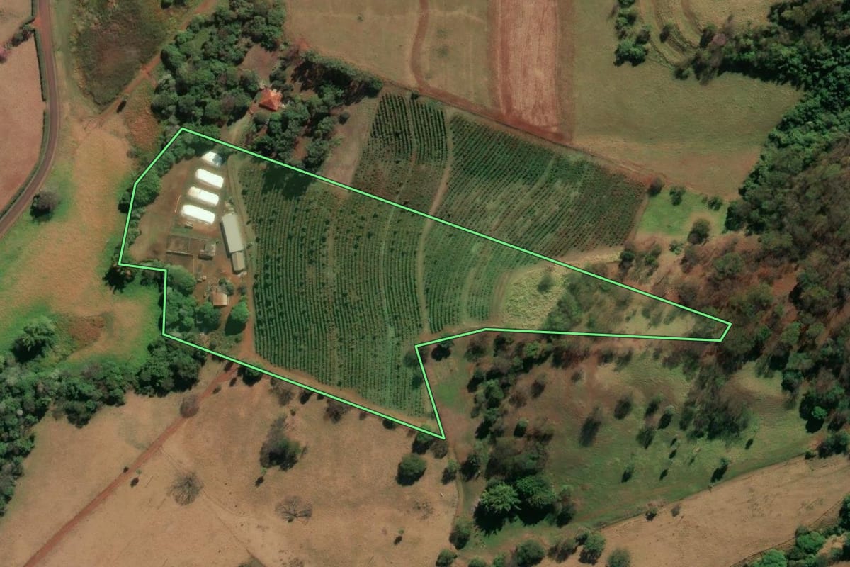 Imagem de satélite do imóvel rural em Jardinópolis (SP), com o contorno declarado no CAR desenhado por cima.