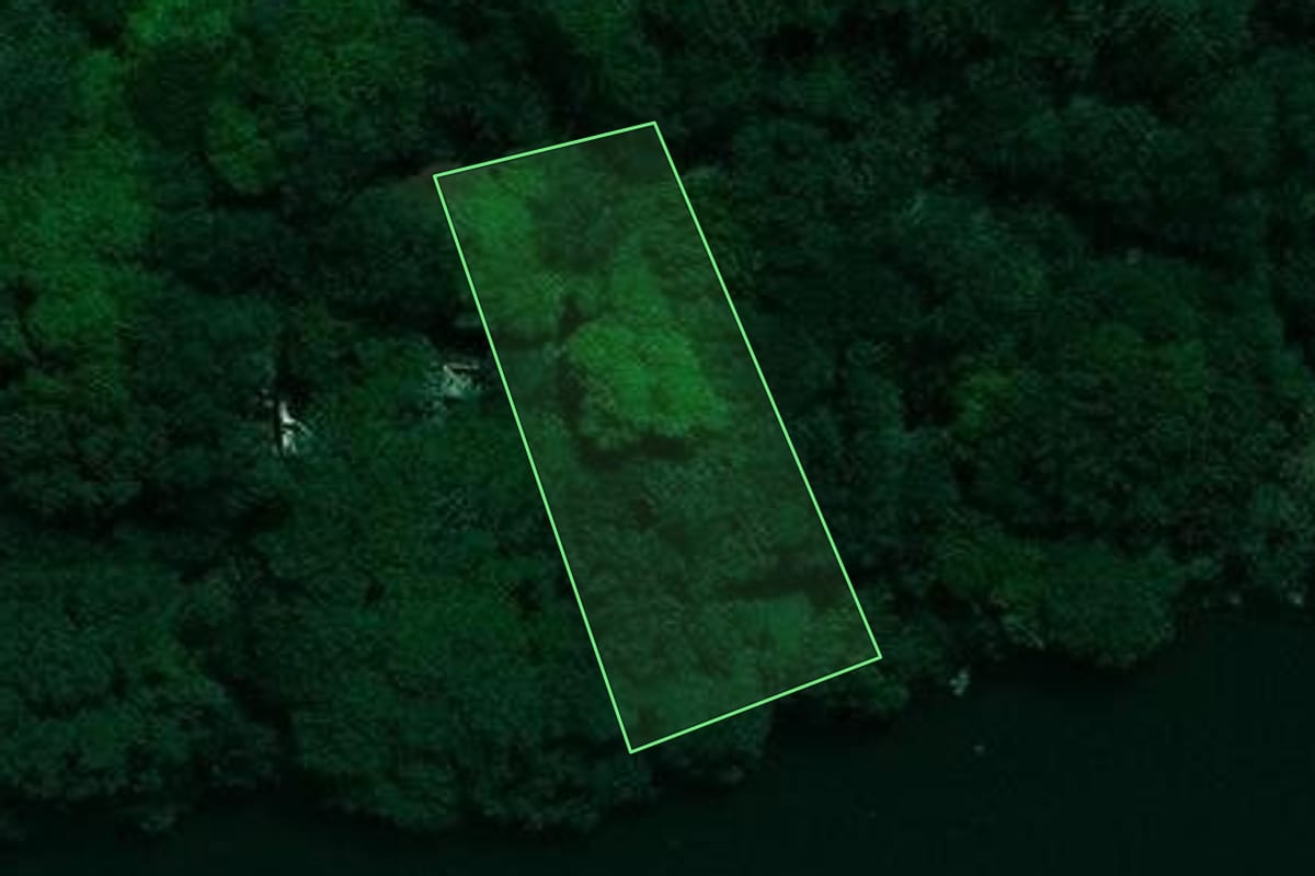 Imagem de satélite do imóvel rural em Jardinópolis (SP), com o contorno declarado no CAR desenhado por cima.