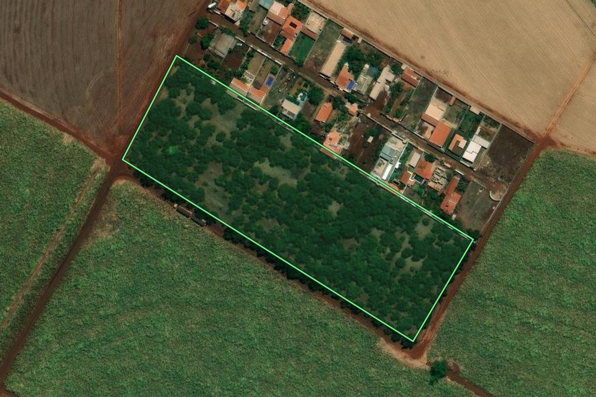 Imagem de satélite do imóvel rural em Jardinópolis (SP), com o contorno declarado no CAR desenhado por cima.