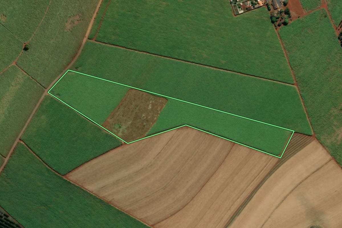 Imagem de satélite do imóvel rural em Jardinópolis (SP), com o contorno declarado no CAR desenhado por cima.