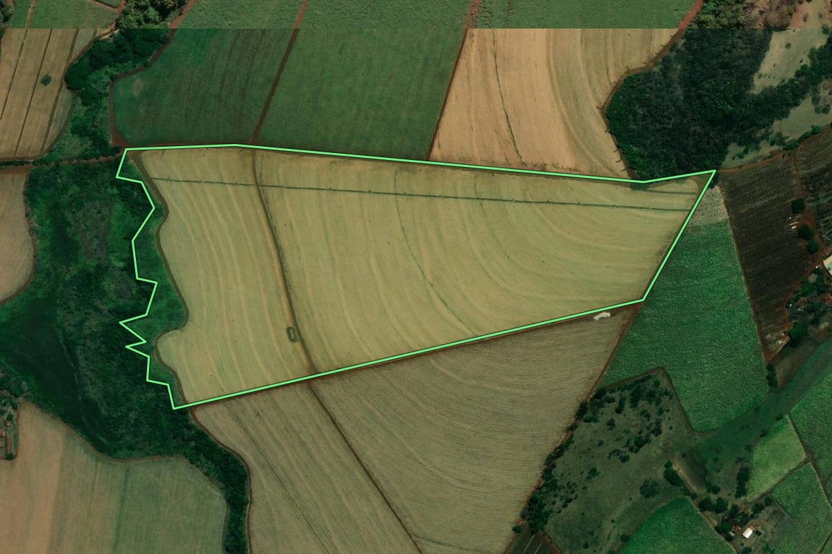 Imagem de satélite do imóvel rural em Jardinópolis (SP), com o contorno declarado no CAR desenhado por cima.