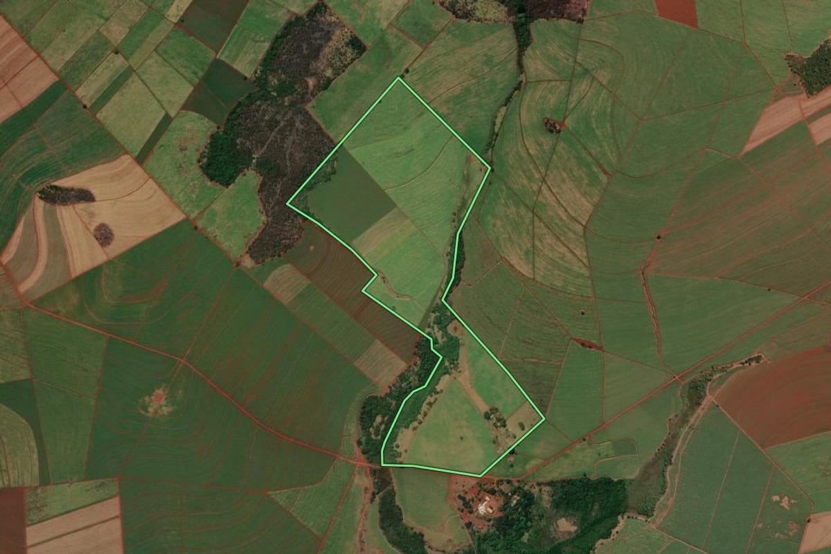 Imagem de satélite do imóvel rural em Jardinópolis (SP), com o contorno declarado no CAR desenhado por cima.